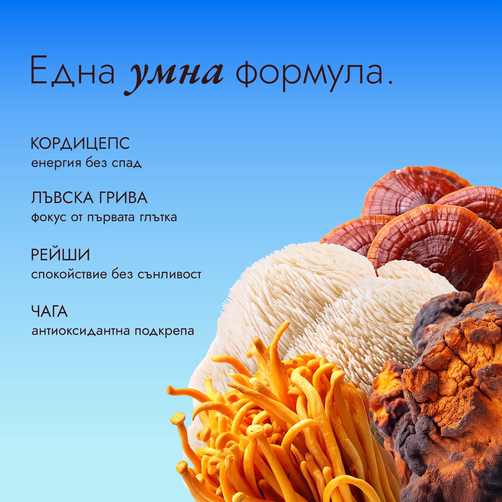 brain coffe - кордицепс, лъвска грива, рейши и чага