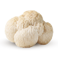 lions mane